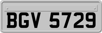 BGV5729