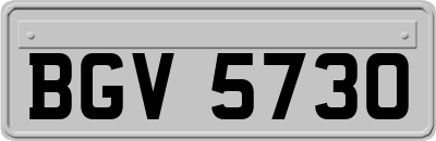 BGV5730
