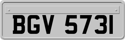BGV5731