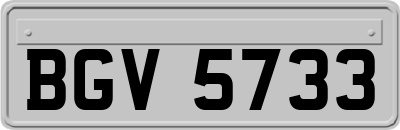 BGV5733