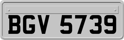 BGV5739