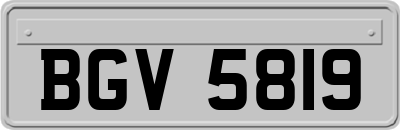 BGV5819
