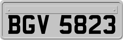 BGV5823