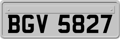 BGV5827