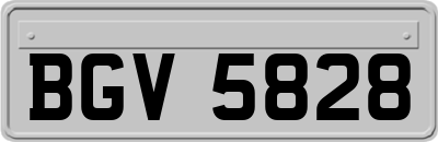 BGV5828