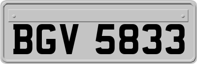 BGV5833