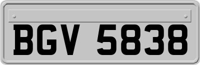BGV5838