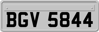 BGV5844