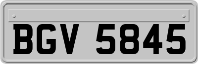 BGV5845