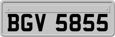 BGV5855