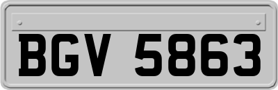 BGV5863