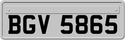 BGV5865