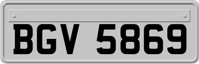BGV5869