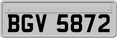 BGV5872
