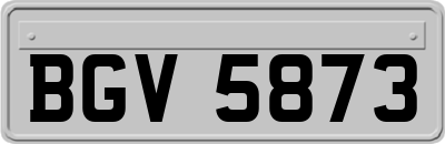BGV5873