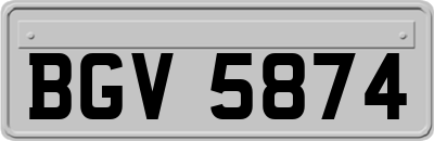 BGV5874