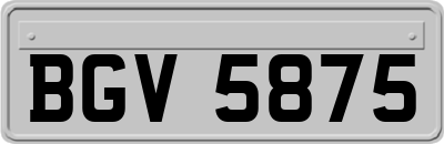 BGV5875