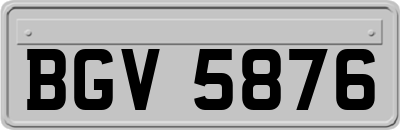 BGV5876