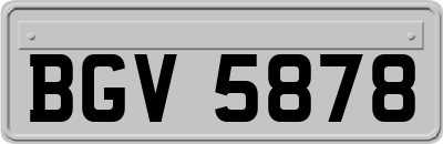 BGV5878