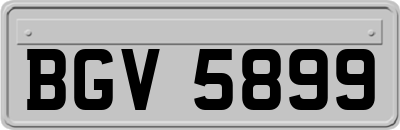 BGV5899