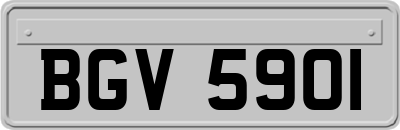 BGV5901