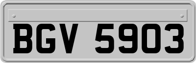 BGV5903