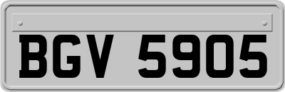 BGV5905