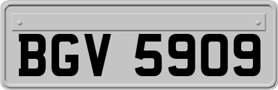 BGV5909