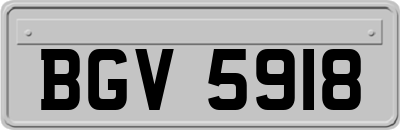 BGV5918