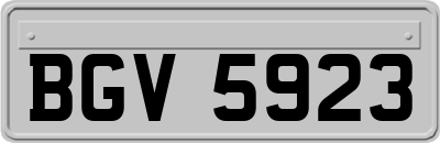 BGV5923