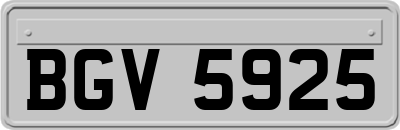 BGV5925