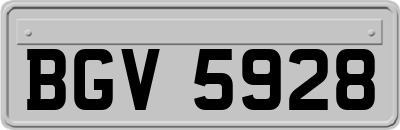 BGV5928