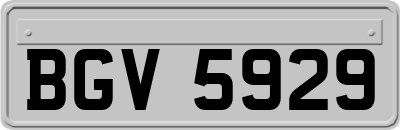 BGV5929