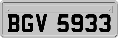 BGV5933