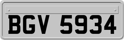 BGV5934