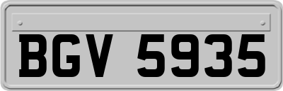 BGV5935