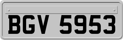 BGV5953