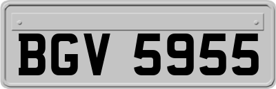 BGV5955