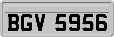 BGV5956