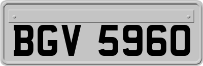 BGV5960