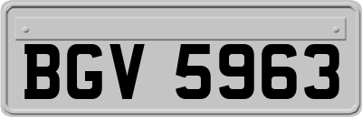 BGV5963