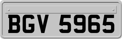 BGV5965