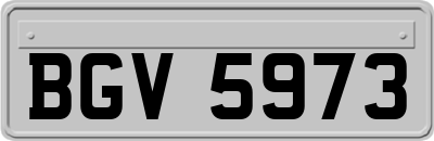 BGV5973