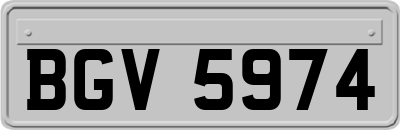 BGV5974