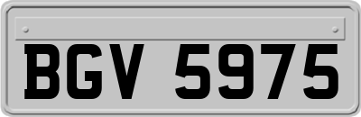 BGV5975
