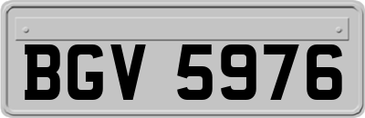 BGV5976
