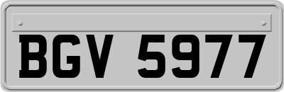 BGV5977
