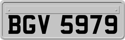 BGV5979