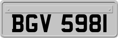BGV5981