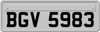 BGV5983